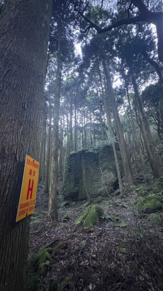 加里山東南峰2867930