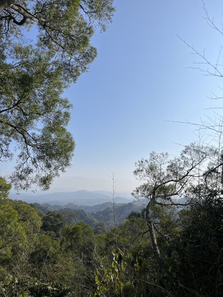 聚興山2014659