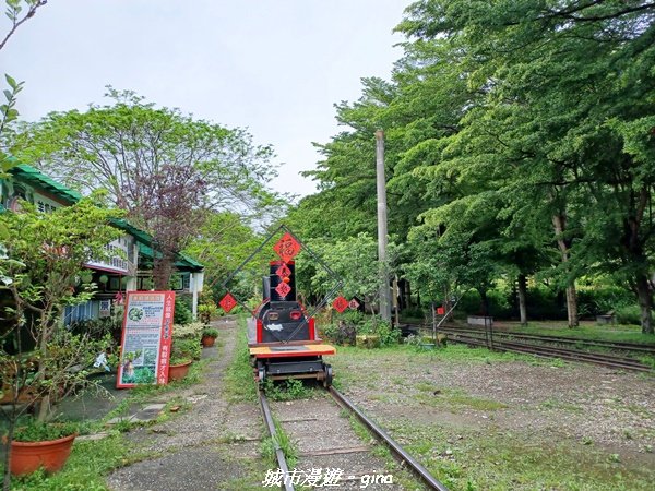 【台中后里】蓊鬱林間。 后里泰安登山步道1728736