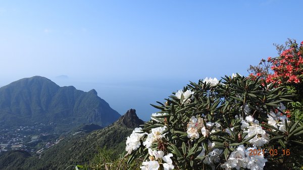 縮時攝影雲山水-再度山海GO龜島曉日>忘憂谷>茶壺&半屏山