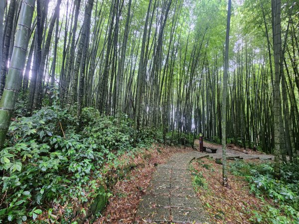 20250719頂湖上大凍山2907160