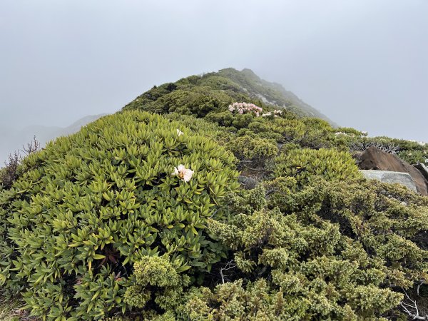 聖稜線I 2023_0524(D2-4) 凱蘭特崑山2166184