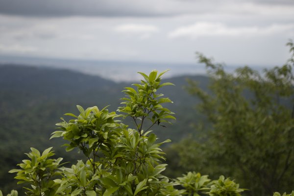 黑山北峰-黑山-石苓湖山 2024.5.312526328