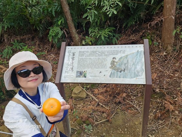 20260105高遶溪古圳步道P走+羅浮泡腳2977838