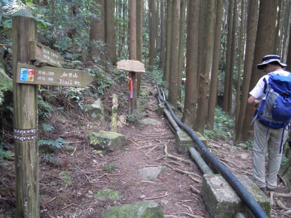 加里山201306301958140