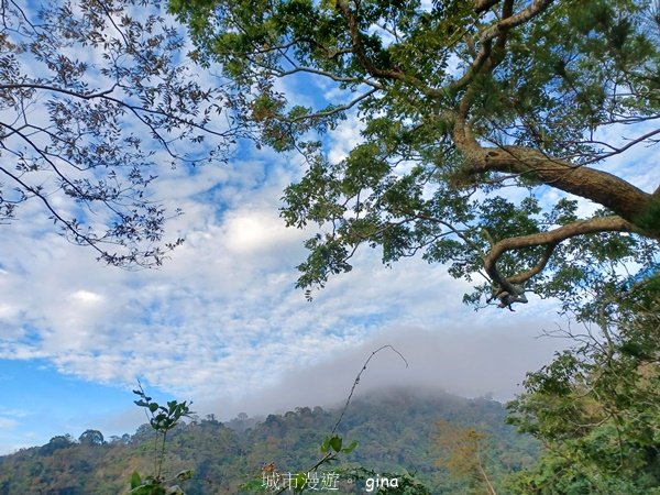 【台中北屯】第一次遇上大坑步道群起霧。 大坑三號步道2695143