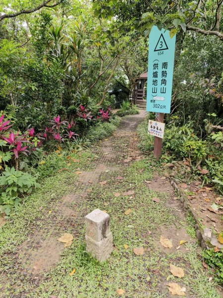 新北市-烘爐地山3053865
