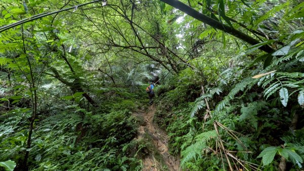 114.06.14雙石縱走&石門水庫-石牛山之旅2812276