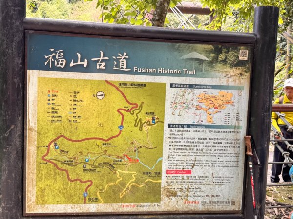 阿里山迷糊步道-福山古道2793383