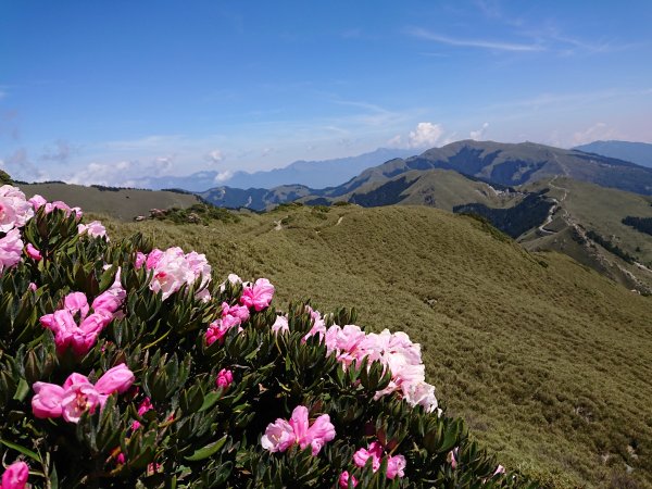 合歡山東峰1727730