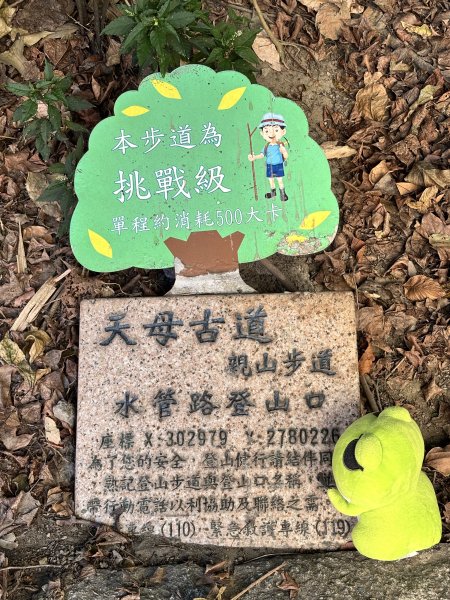 天母古道 + 紗帽山2913872