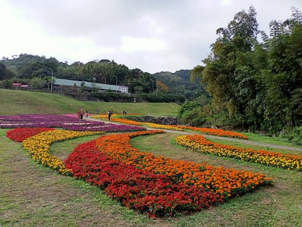 【臺北大縱走 4】【南山神壽任務尋寶趣】美拍花團錦簇的大溝溪溪畔步道1574062