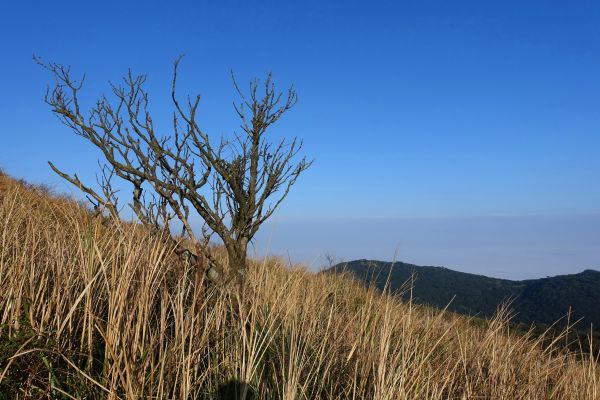 大屯主、南、西峰O型 2018.2.16