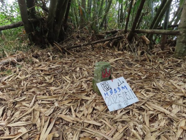 南瀛百岳～圓山