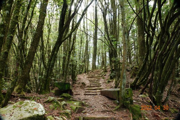 臺中 和平 鞍馬山1697274