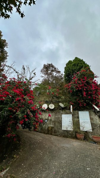 馬那邦山O走2370108