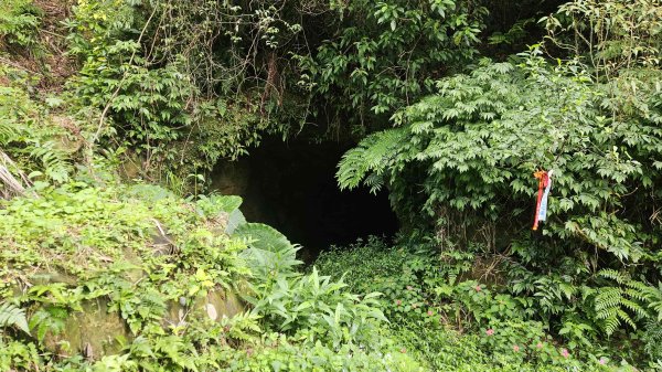 20251217麗水保甲路-麻斯廪水圳步道-大湖古道2964501