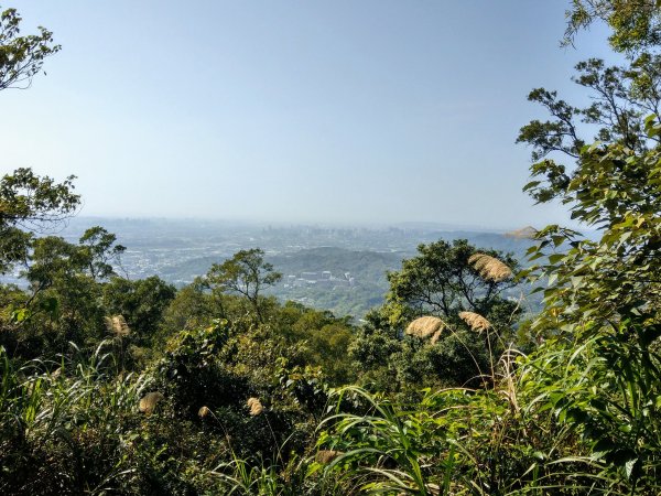 新竹飛鳳山(中坑山)小百岳880209