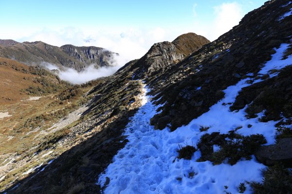 雪山‧甘木林山1250029