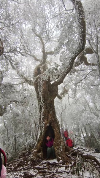 雪季北得拉曼2956486