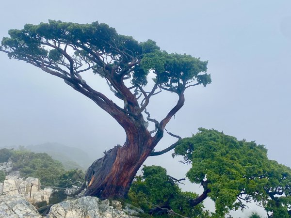 啟動高山度假模式  波光瀲灩嘉明湖2651797