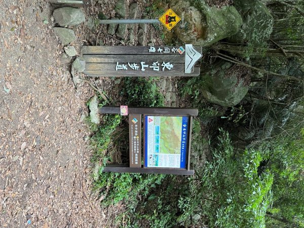 20230604_東卯山（谷關七雄之老五）2762519