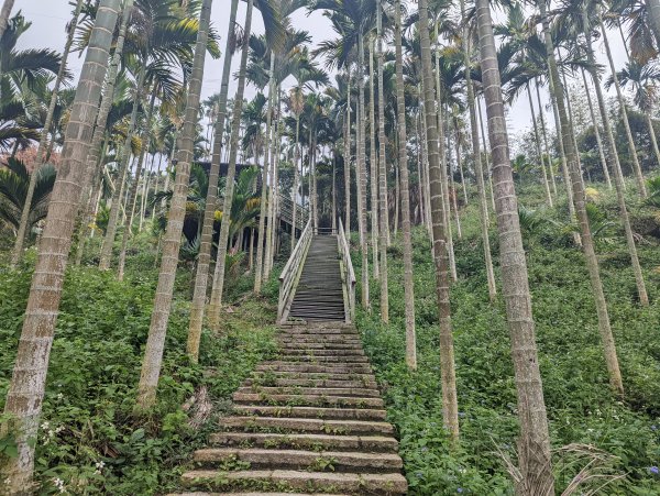 華山小天梯。情人橋1558882