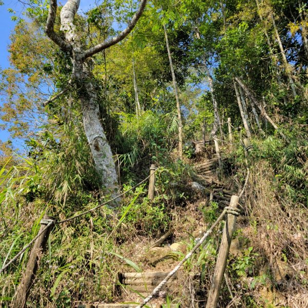 集集大山、車埕步道（小百岳）1628774