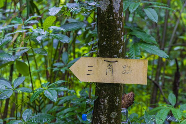 [屏東]笠頂山2847896