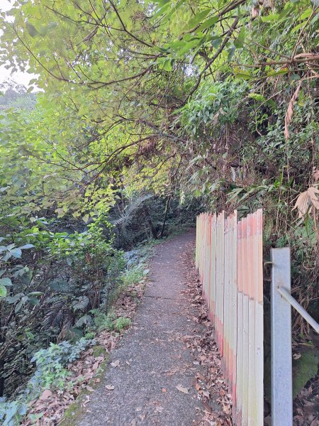 冬山梅花湖中山步道+大陂丘山202509292901657