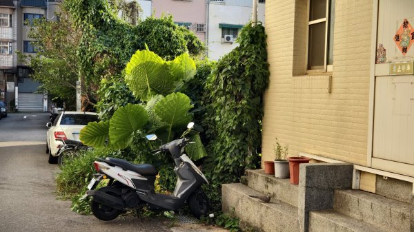 【台灣健行】斜陽與咖啡香：在東海藝術街，把日子過成一首漫長的詩3129642