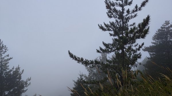 雪山西稜3135044
