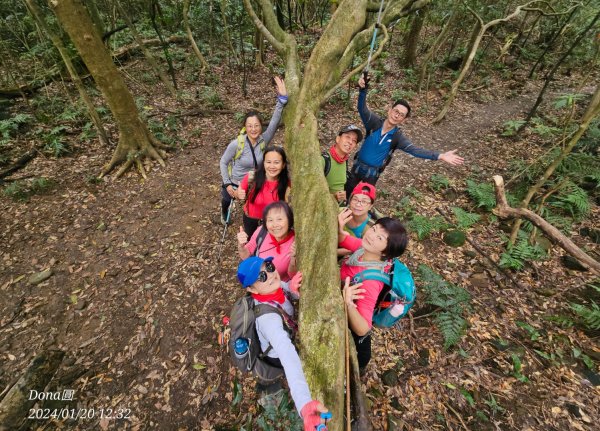 東勢大崙、東勢坑山、觀音湖山O走2986236