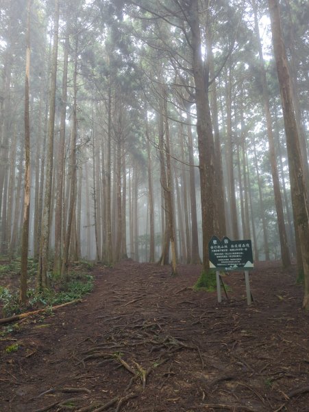 2025.07.05－高島縱走2828184
