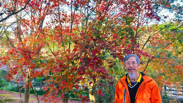 #花卉試驗中心 #永公路500巷 #平菁街42巷 #原住民公園 #士林官邸 1/42976560