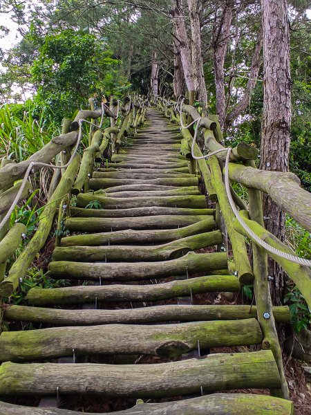 大坑3號登山步道1684745