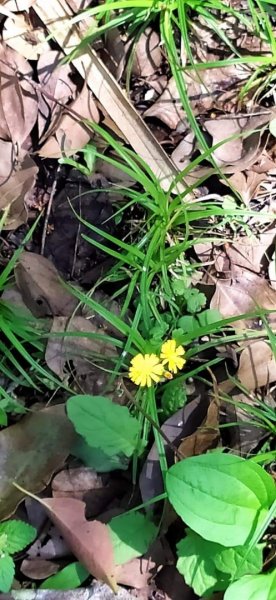 月眉山步道“莫內花園民宿1325279