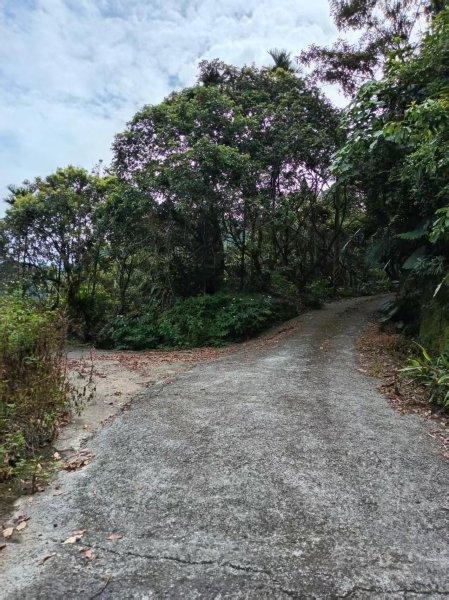 草屯「樹藤岩」台灣省政府圖根補點3131456