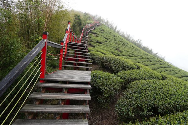 嘉義 梅山 太平山、梨子腳山、馬鞍山、二尖山、大尖山、碧湖山2748984