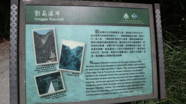 奇萊南華登山健行趣(百岳41號＆75號)1840308