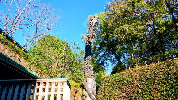 茨城縣出雲大社2929333