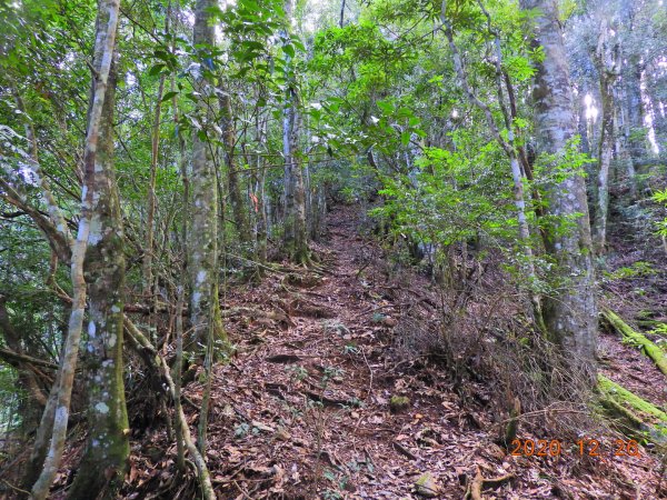 新竹 五峰 麥巴來山1217930