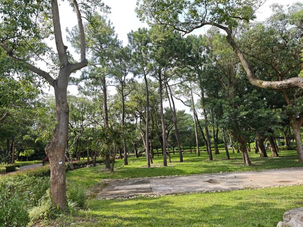 [霄裡好風光，運動樂悠遊！-6/10] 2025_0608 大湳森林公園2808211