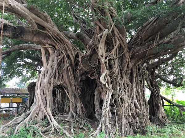 HK - 雞公嶺938850