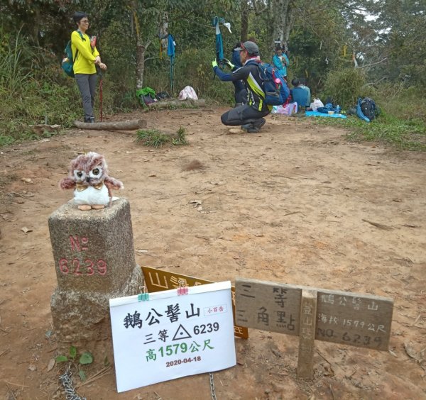 小百岳31_鵝公髻山1189146