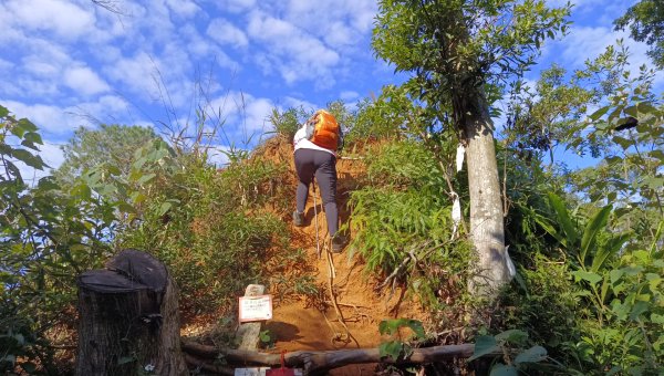 (姨婆趴趴走)第四十五集:新竹竹東三山（新具庄山、樹杞林山、員崠子山）環狀縱走2662249