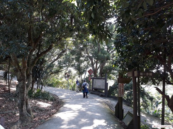 台中太平三汀山登山步道20181021439431