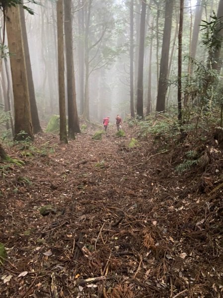 南庄加里山林業遺跡忘雨巖2026048