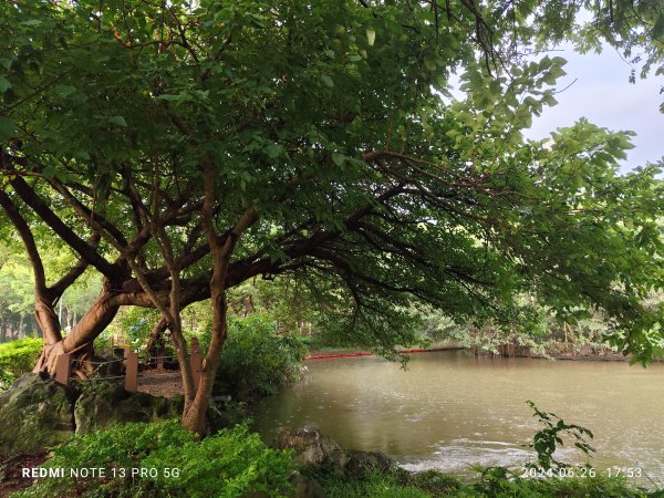 大安森林公園、寧夏夜市、士林夜市【走路趣尋寶】【臺北健走趣】2536335