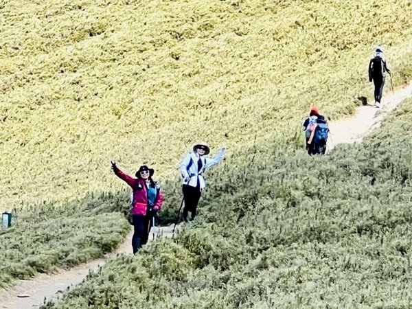 🌈6/8（日）合歡北峰賞紅毛杜鵑✨FB：熊熊趴爬走🌈2806090